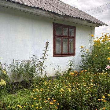 Продається цегляний будинок в с. Жужелянах