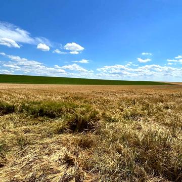 Правдівка, Хмельницький, Хмельницька область 80000.0 USD