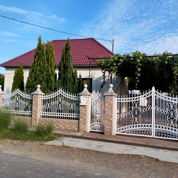 Продам дом Закарпатье Берегуйфолу