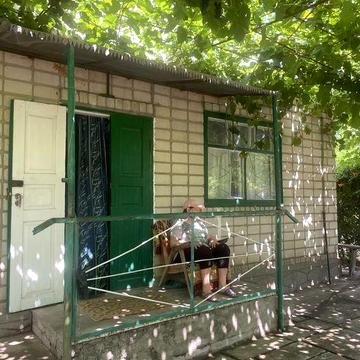 Продаю дачу в СТ «Фазан» Вознесенськ, Південноукраїнськ