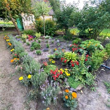 ПРОДАЖ БУДИНКУ • село Млинок, Кіровоградська область