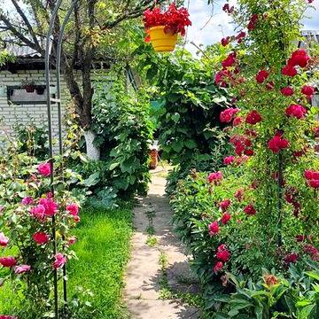 Дача Красносельський кооператив, Старе село,