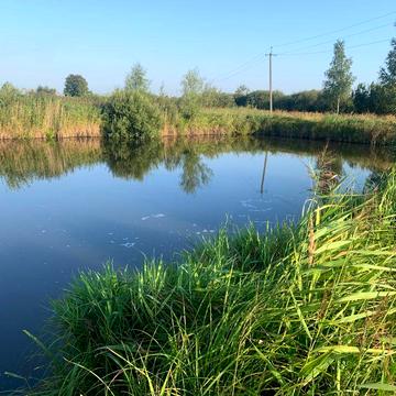 Будинок Ємільчине