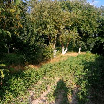 Продаж Дачі м.Жмеринка