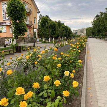 Продаж будинку в мальвничому містечку