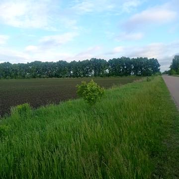 Велика Бугаївка, Обухівський, Київська область 65740 USD