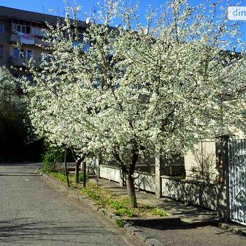 Продаж 3к Дім Зореслава вулиця
