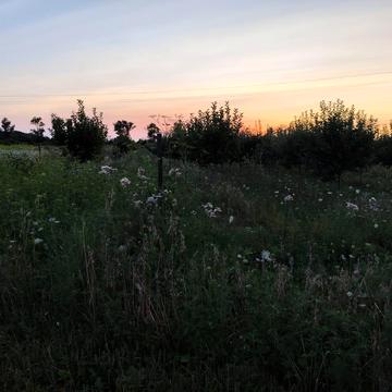 Холмець, Ужгородський, Закарпатська область 15000.0 USD