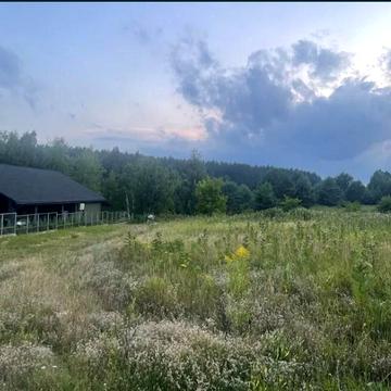 Гореничі, Бучанський, Київська область 50000.0 USD