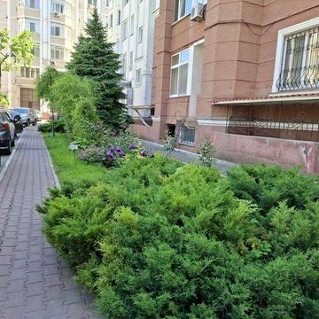 Сдам 3 ком квартиру на улице Довженко в доме Каркашадзе!