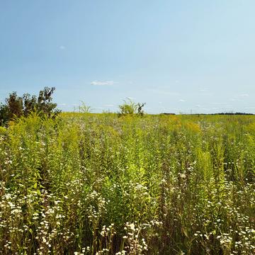 Хлібний провулок