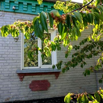 Продам будинок у м.Бобринець