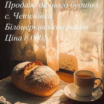 Продаж дачного будинку с. Чепиліївка