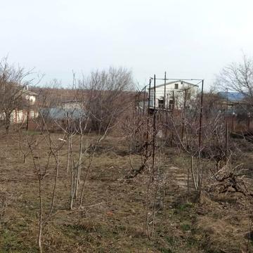 Радісна