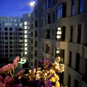ЖК Авиньон/Дача Ковалевского 1к квартира 52 кв.м. ПЕРВАЯ ЛИНИЯ МОРЯ ЖК Авиньон