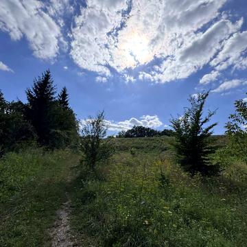 Соборна