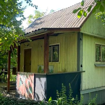 Лісова