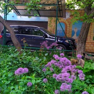 Ясна, 8