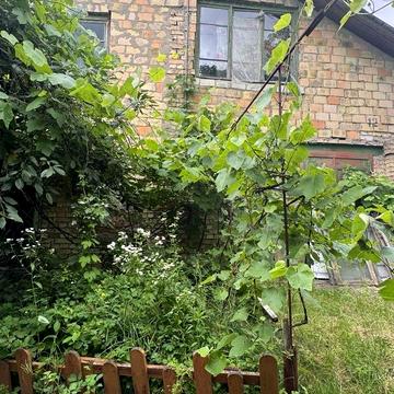 15-Польова, 12