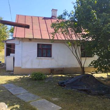 Продам будинок село Грушвиця перша