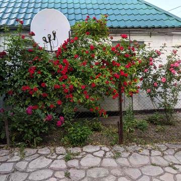 Продам дом в Павлограде, аренда не рассматривается, в нем живу.