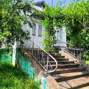 Продаю будинок з садом та городом, загальна площа 0,88 гектара