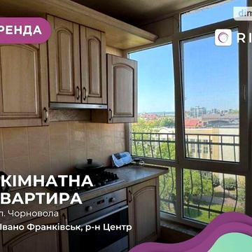 Довгострокова оренда 1к Квартира Вячеслава Чорновола вулиця