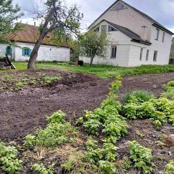 Продаж хати в селі Савинці