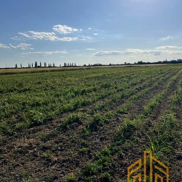 Коритняни, Ужгородський, Закарпатська область 11000.0 USD