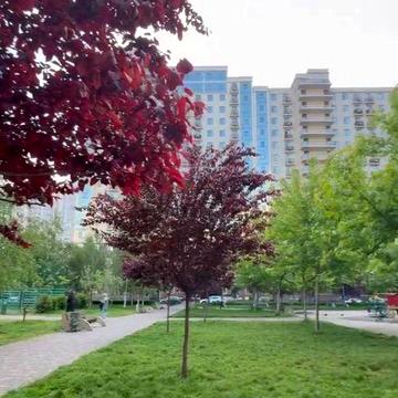 Продам 1к квартиру с ремонтом в Жемчужине на Таирова близко к МОРЮ ЖК 49 жемчужина