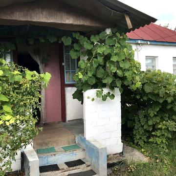 Продається будинок , Черкаська область , с Орловець