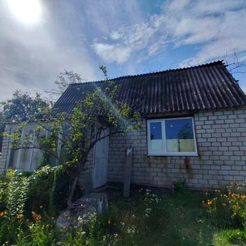 Продам дачу, з великим садом та огородом.