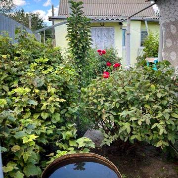 Два дома на одном участке в районе Лысой Горы