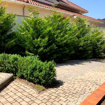 Аренда одноэтажного дома в Совиньоне