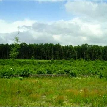 Стоянка, Бучанський, Київська область 55000.0 USD