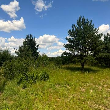 Ясногородка, Фастівський, Київська область 23500.0 USD