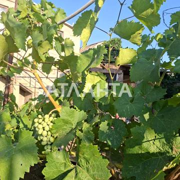 улица Крайняя, 48, Ленпоселок, Хаджибейский, Одесса, Одесская 95000.0 USD