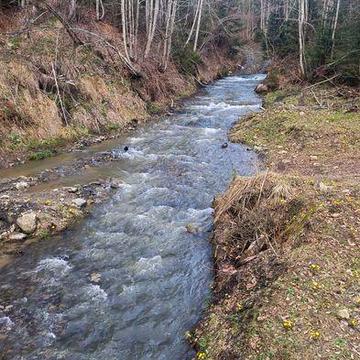 Продам будинок в лісі Карпати, Верховина