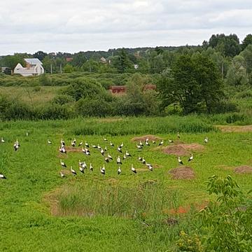 Київська вул.