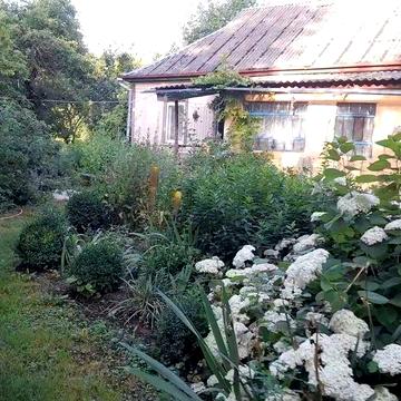 Продам будинок 54 кв м та 45 соток землі