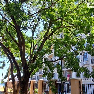 Продаж 1к Квартира Дача Ковалевського вулиця ЖК Avinion