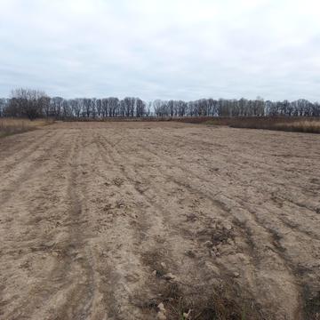 Академічна