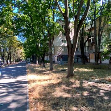 Івана та Юрія Лип вул. (Гайдара), 1