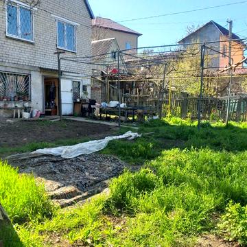 Зелена гірка, 52