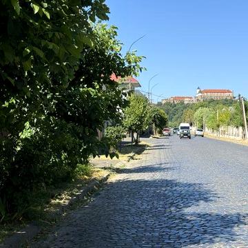 Продається будинок з великою земельною ділянкою