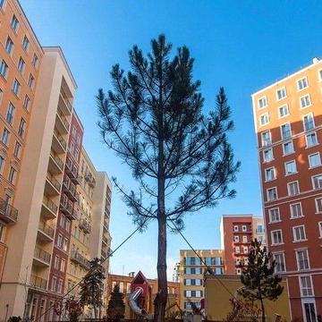 Shev-02 Квартира в ЖК Виа Рома ЖК Via Roma