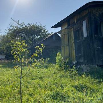 Ділянка с. Лоєва будинок хата земля біля лісу гори