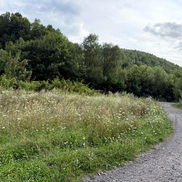 Центральна