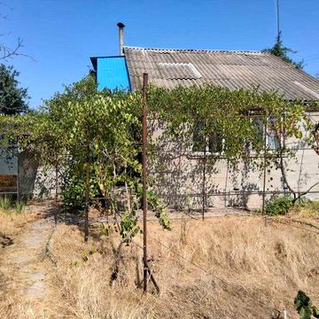 Здам житло в оренду
