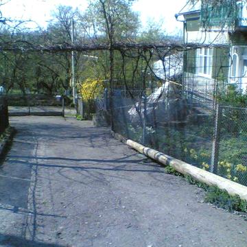 власник продає будинок в селі